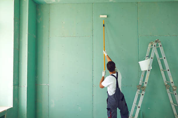 Professional Mold Removal in Pinecrest, FL