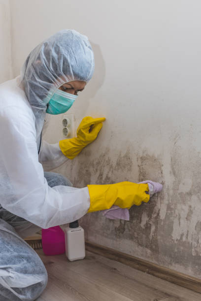 Best Indoor Air Quality Assessment  in Pinecrest, FL