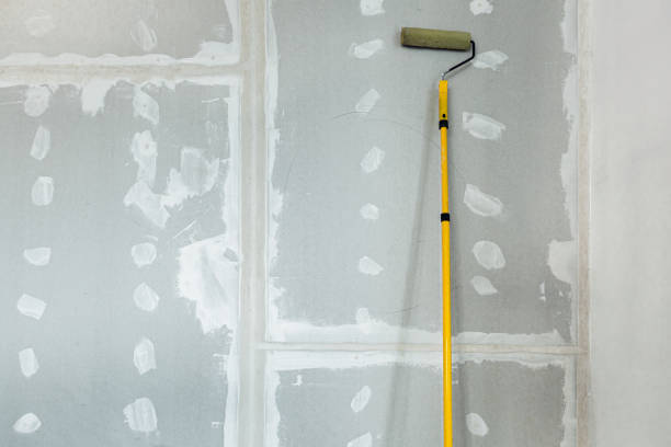 Best Mold Odor Removal Services  in Pinecrest, FL