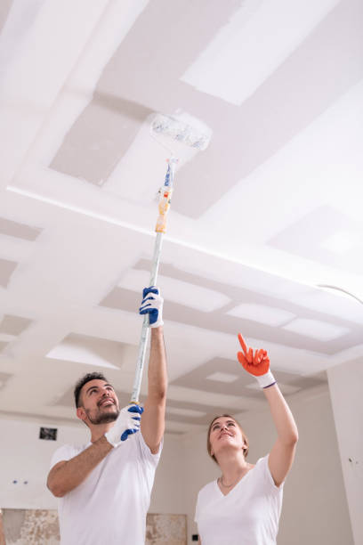 Best Basement Mold Removal  in Pinecrest, FL